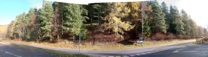 Click to enlarge