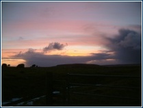 Westing Sunset